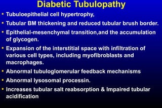 Diabetic Tubulopathy
• Tubuloepithelial cell hypertrophy,
• Tubular BM thickening and reduced tubular brush border.
• Epithelial-mesenchymal transition,and the accumulation
of glycogen.
• Expansion of the interstitial space with infiltration of
various cell types, including myofibroblasts and
macrophages.
• Abnormal tubuloglomerular feedback mechanisms
• Abnormal lysosomal processin.
• Increases tubular salt reabsorption & Impaired tubular
acidification
 