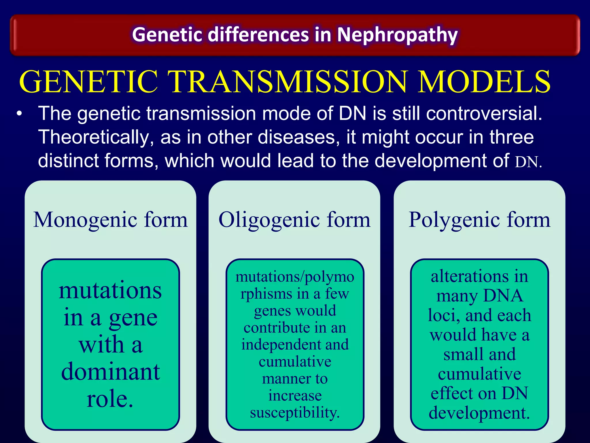GENETIC TRANSMISSION MODELS
• The genetic transmission mode of DN is still controversial.
Theoretically, as in other diseases, it might occur in three
distinct forms, which would lead to the development of DN.
Monogenic form
mutations
in a gene
with a
dominant
role.
Oligogenic form
mutations/polymo
rphisms in a few
genes would
contribute in an
independent and
cumulative
manner to
increase
susceptibility.
Polygenic form
alterations in
many DNA
loci, and each
would have a
small and
cumulative
effect on DN
development.
Genetic differences in Nephropathy
 