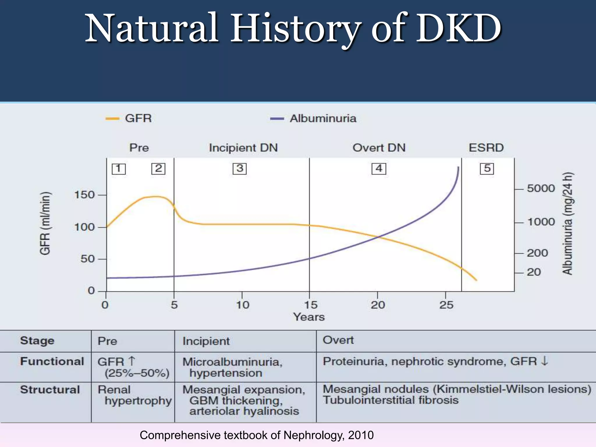 Natural History of DKD
Comprehensive textbook of Nephrology, 2010
 