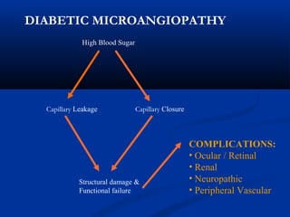 DIABETIC MICROANGIOPATHY
High Blood Sugar
COMPLICATIONS:
• Ocular / Retinal
• Renal
• Neuropathic
• Peripheral Vascular
Capillary Leakage Capillary Closure
Structural damage &
Functional failure
 