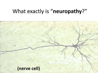 What exactly is “neuropathy?”




 (nerve cell)
 