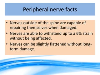 Peripheral nerve facts

• Nerves outside of the spine are capable of
  repairing themselves when damaged.
• Nerves are able to withstand up to a 6% strain
  without being affected.
• Nerves can be slightly flattened without long-
  term damage.
 