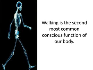 Walking is the second
   most common
conscious function of
     our body.
 