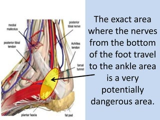 The exact area
where the nerves
from the bottom
of the foot travel
to the ankle area
     is a very
    potentially
 dangerous area.
 