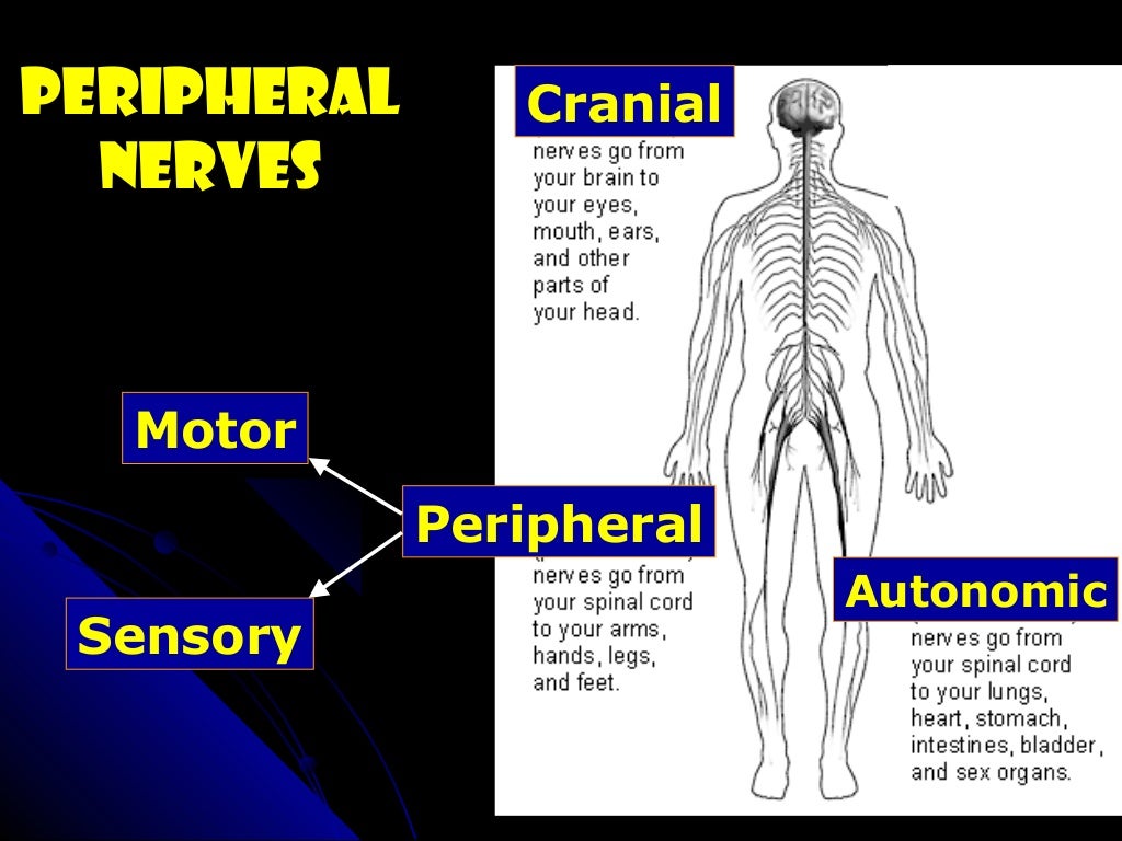 Diabetic POLYNEUROPATHY
