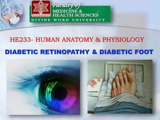 HE233- HUMAN ANATOMY & PHYSIOLOGY
DIABETIC RETINOPATHY & DIABETIC FOOT
 