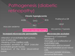 Chronic hyperglycemia 
AGEs DAG ROS 
PKC 
Retinal vascular damage 
Proliferative DR 
VEGF 
Ishcaemia / hypoxia 
Macular oedema 
Increased microvascular permeability Microvascular occlusion 
-Alteration of endothelial tight juntions. 
-Loss of pericytes. 
-Weaking of the capillary walls. 
-Increased secretion of VEGF (vascular 
endothelial growth factor). 
-Breakdown of the inner blood-retinal 
barrier. 
-Thickening of basement 
membrane. 
-Damage and proliferation of 
endothelial cells. 
-Deformation and increased 
rouleaux formation of red blood 
cells. 
-Increased platelet stickiness – 
abnormal fibrinolysis. 
 