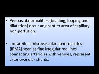 • Venous abnormalities (beading, looping and
dilatation) occur adjacent to area of capillary
non-perfusion.
• Intraretinal microvascular abnormalities
(IRMA) seen as fine irregular red lines
connecting arterioles with venules, represent
arteriovenular shunts.
 