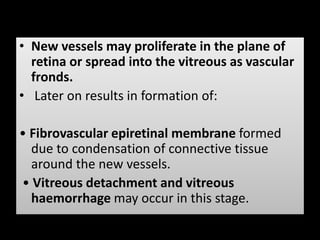 • New vessels may proliferate in the plane of
retina or spread into the vitreous as vascular
fronds.
• Later on results in formation of:
• Fibrovascular epiretinal membrane formed
due to condensation of connective tissue
around the new vessels.
• Vitreous detachment and vitreous
haemorrhage may occur in this stage.
 