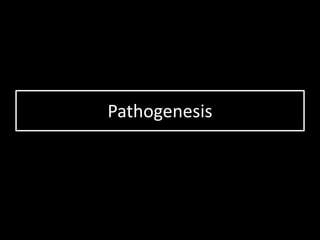Pathogenesis
 