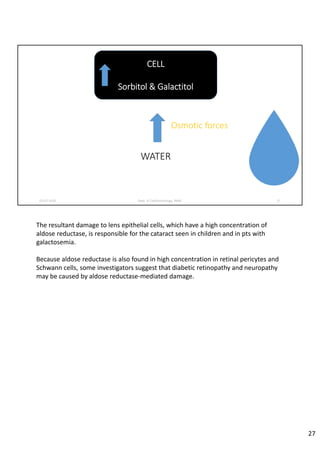 02‐07‐2020 Dept. of Ophthalmology, JNMC 27
CELL
Sorbitol & Galactitol
WATER
Osmotic forces
The resultant damage to lens epithelial cells, which have a high concentration of 
aldose reductase, is responsible for the cataract seen in children and in pts with  
galactosemia. 
Because aldose reductase is also found in high concentration in retinal pericytes and 
Schwann cells, some investigators suggest that diabetic retinopathy and neuropathy 
may be caused by aldose reductase‐mediated damage.
27
 