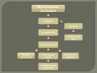 Cotton – wool
spot
Neovascularization
Ischemia
Neovascular
glaucoma
Microvascular
Occlusion
Fibrovascular
bands
Vitreous
hemorrhage
Increased VEFG
Tractional retinal
detachment
Infarction
 