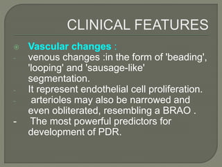  Vascular changes :
- venous changes :in the form of 'beading',
'looping' and 'sausage-like'
segmentation.
- It represent endothelial cell proliferation.
- arterioles may also be narrowed and
even obliterated, resembling a BRAO .
- The most powerful predictors for
development of PDR.
 