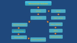 Cotton – wool spot
Retinal Neovascularization
Ischemia
Neovascular glaucoma
Microvascular Occlusion
Fibrovascular bands
Vitreous hemorrhageVitreous hemorrhage
Increased VEFG
Tractional retinal detachment
Infarction
Anterior Proliferation
Rubeosis
 