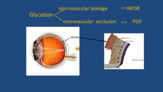 microvascular leakage NPDR
microvascular occlusion PDR
Glycation
 