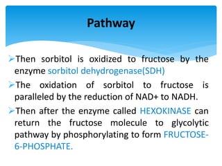 Pathway
Then sorbitol is oxidized to fructose by the
enzyme sorbitol dehydrogenase(SDH)
The oxidation of sorbitol to fructose is
paralleled by the reduction of NAD+ to NADH.
Then after the enzyme called HEXOKINASE can
return the fructose molecule to glycolytic
pathway by phosphorylating to form FRUCTOSE-
6-PHOSPHATE.
 