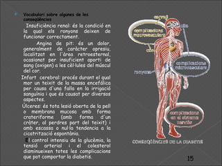 Vocabulari sobre algunes de les conseqüències Insuficiència renal: és  la  condició  en la  qual   els ronyons deixen  de  funcionar correctament. Angina de pit: és un dolor, generalment de caràcter opresiu, localitzat en l'àrea retroesternal, ocasionat per insuficient aporti de sang (oxigen) a les cèl·lules del múscul del cor.  Infart  cerebral: procés durant el qual mor un teixit de la massa encefálica per causa d'una falla en la irrigació sanguínia i que és causat per diversos aspectes.  Úlceres: és tota lesió oberta de la pell o membrana mucosa amb forma crateriforme (amb forma d'un cràter, al perdres part del teixit) i amb escassa o nul·la  tendencia a la  cicatrització espontània.  E l control intensiu de la glucèmia, la tensió arterial i el colesterol disminueixen totes les complicacions que pot comportar la diabetis. 