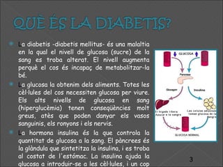 L a diabetis -diabetis mellitus- és una malaltia en la qual el nivell de glucosa (sucre) de la sang es troba alterat. El nivell augmenta perquè el cos és incapaç de metabolitzar-la bé.  L a glucosa la obtenim dels aliments. Totes les cèl·lules del cos necessiten glucosa per viure. Els alts nivells de glucosa en sang (hiperglucèmia) tenen conseqüències molt greus, atès que poden danyar els vasos sanguinis, els ronyons i els nervis.  L a hormona insulina és la que controla la quantitat de glucosa a la sang. El pàncrees és la glàndula que sintetitza la insulina, i es troba al costat de l'estómac. La insulina ajuda la glucosa a introduir-se a les cèl·lules, i un cop dins s'utilitza com a combustible del cos. 