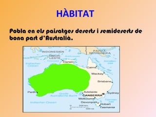 HÀBITAT
Pobla en els paisatges deserts i semideserts de
bona part d’Australià.
 