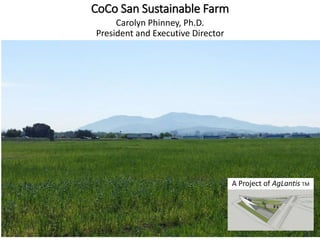 CoCo San Sustainable Farm
Carolyn Phinney, Ph.D.
President and Executive Director
A Project of AgLantis TM
 