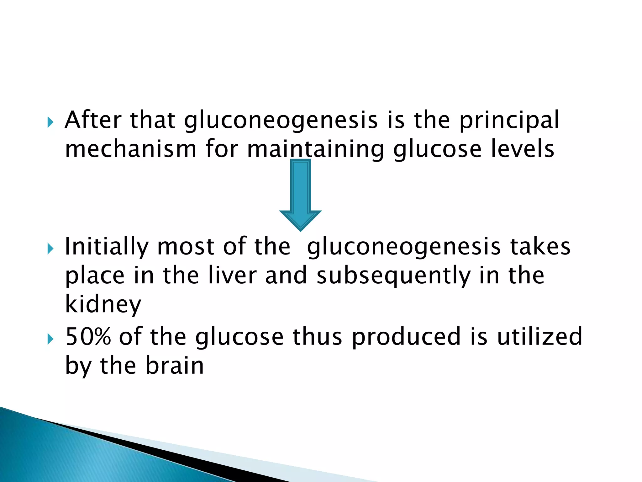 After that gluconeogenesis is the principal
mechanism for maintaining glucose levels
 Initially most of the gluconeogenesis takes
place in the liver and subsequently in the
kidney
 50% of the glucose thus produced is utilized
by the brain
 