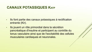 CANAUX POTASSIQUES KATP
• Ils font partie des canaux potassiques à rectification
entrante (Kir).
• Ils jouent un rôle primordial dans la sécrétion
pancréatique d'insuline et participent au contrôle du
tonus vasculaire ainsi que de l'excitabilité des cellules
musculaires cardiaques et neuronales.
 