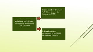 Mutations activatrices :
diminuent la sensibilité à
l’ATP du canal
directement en diminuant
l’affinité de la zone de
liaison pour l’ATP
indirectement en
augmentant la stabilité à
l’état ouvert du canal
 