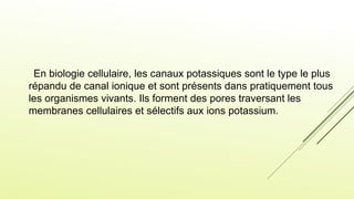 En biologie cellulaire, les canaux potassiques sont le type le plus
répandu de canal ionique et sont présents dans pratiquement tous
les organismes vivants. Ils forment des pores traversant les
membranes cellulaires et sélectifs aux ions potassium.
 