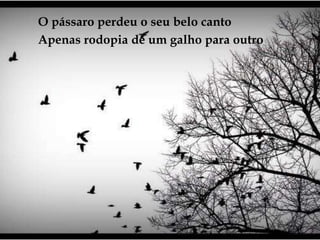 O pássaro perdeu o seu belo cantoApenas rodopia de um galho para outro