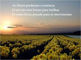 As flores perderam a essênciaO sol não tem forças para brilharO vento ficou pesado para se movimentar