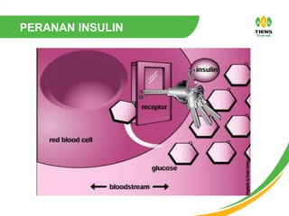 PERANAN INSULIN
 