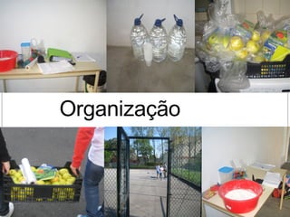 Organização 