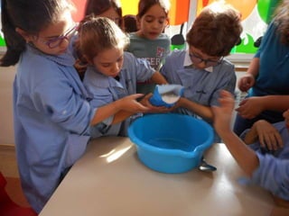 Dia da alimentação