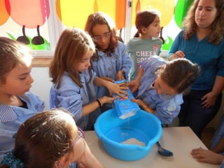 Dia da alimentação