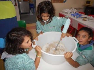 Dia da alimentação