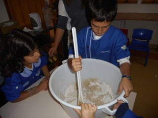 Dia da alimentação