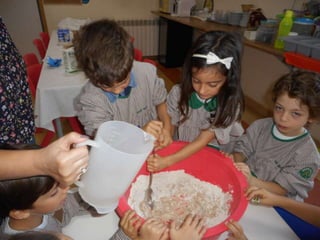 Dia da alimentação