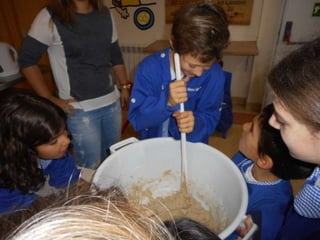 Dia da alimentação