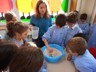 Dia da alimentação