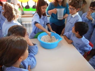 Dia da alimentação