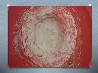 Dia da alimentação