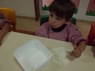 Dia da alimentação