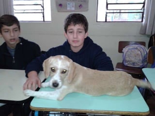 Dia da biodiversidade