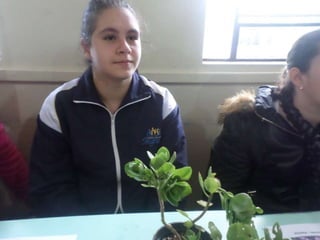 Dia da biodiversidade iii