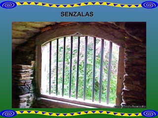 SENZALAS 