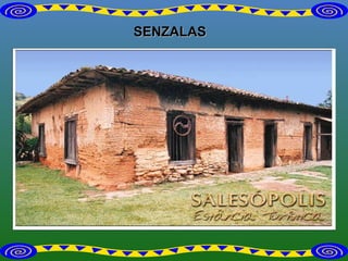 SENZALAS 