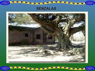 SENZALAS 