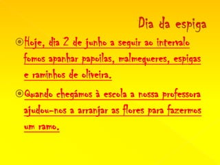 Dia da espigaHoje, dia 2 de junho a seguir ao intervalo fomos apanhar papoilas, malmequeres, espigas e raminhos de oliveira.Quando chegámos à escola a nossa professora ajudou-nos a arranjar as flores para fazermos um ramo.  