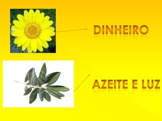 dinheiroAzeite e LUz