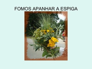 FOMOS APANHAR A ESPIGA
 